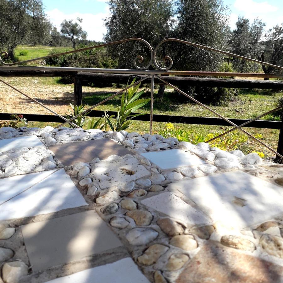 Agriturismo Poggio Falco Batignano Εξωτερικό φωτογραφία